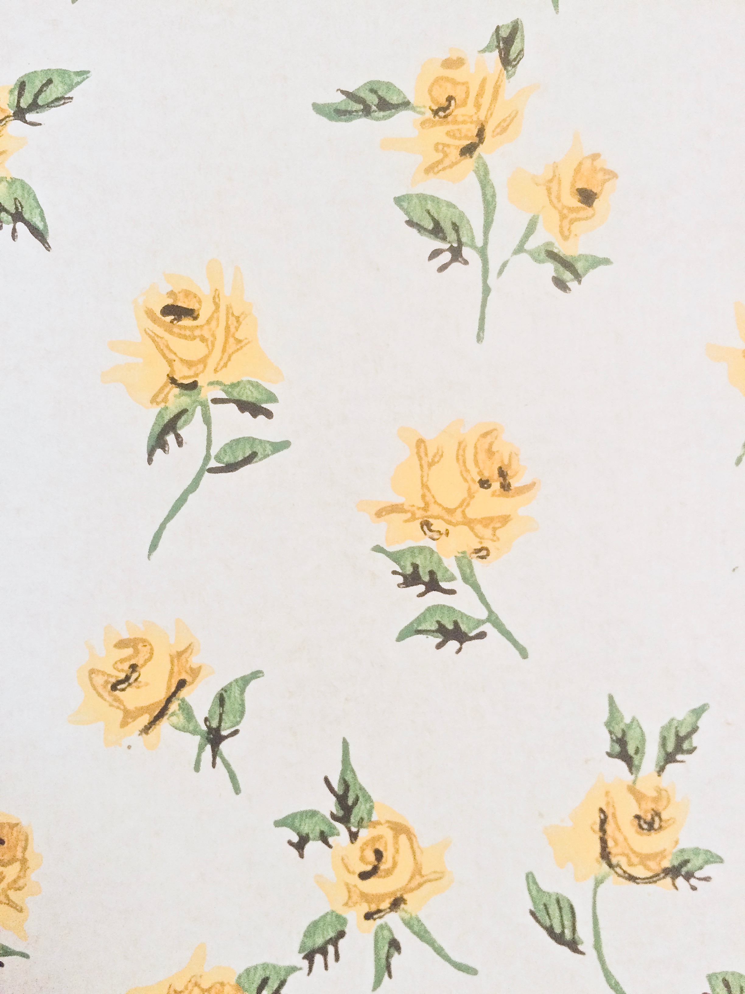 yellow rose wallpaper cate holcombe interiors