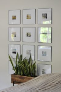 gallery grid, snake plant, Cate Holcombe Interiors