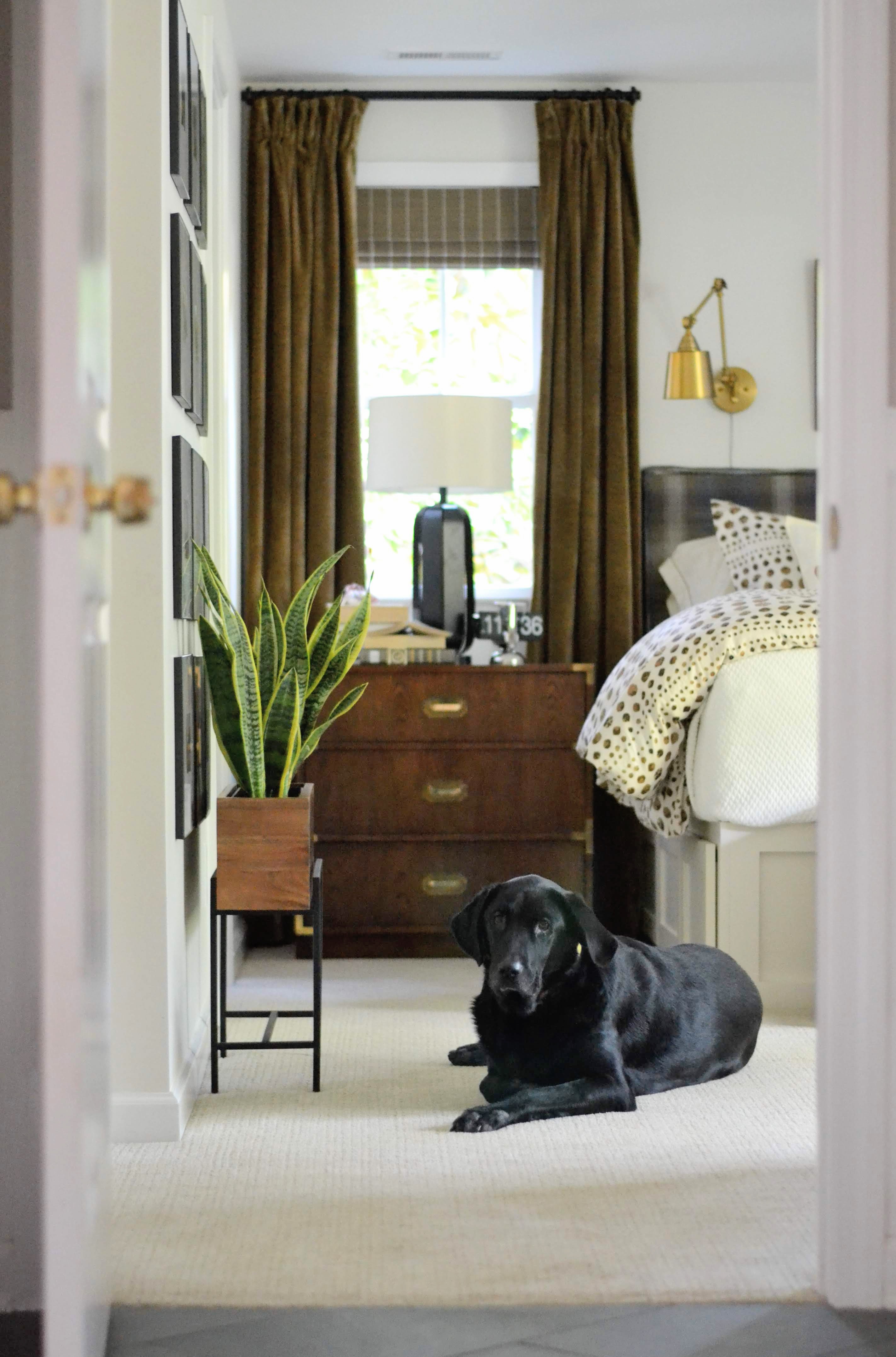 Masculine master bedroom, black lab, Cate Holcombe Interiors
