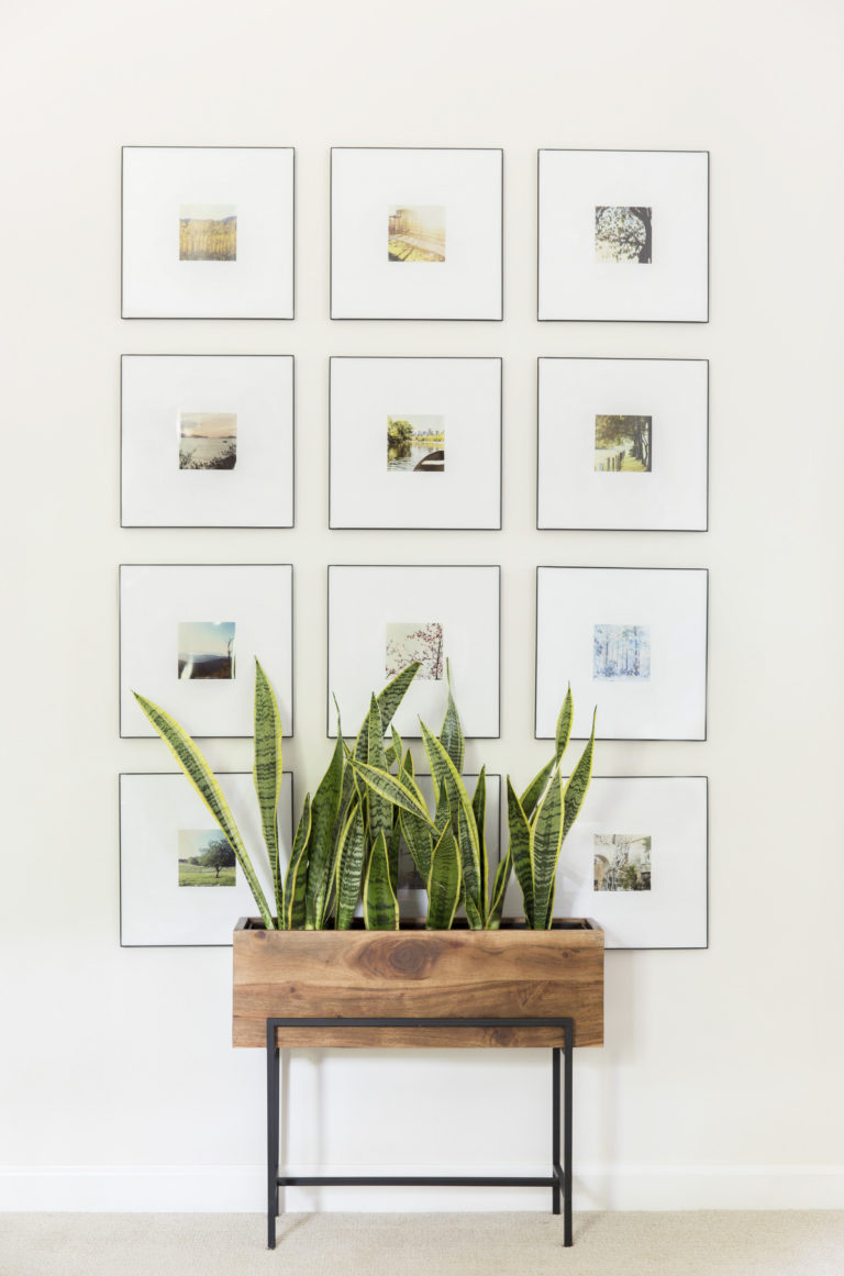 How To Create a Cohesive Gallery Wall From Photos Cate Interiors