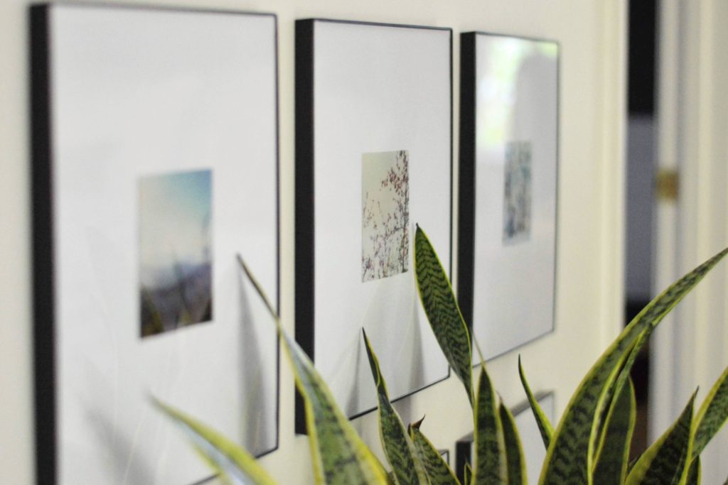 How To Create a Cohesive Gallery Wall From Photos Cate Interiors